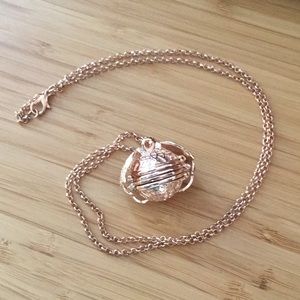 Multi picture locket